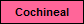Buy cochineal dye here