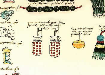Codex Mendoza record of 40 bags of cochineal as tribute (bag with flag represents 20 bags)