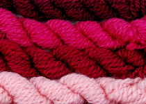 Cochineal dye extract