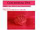 Cochineal Dye Home page